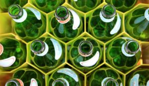 Economie_circulaire La Fourmilière
