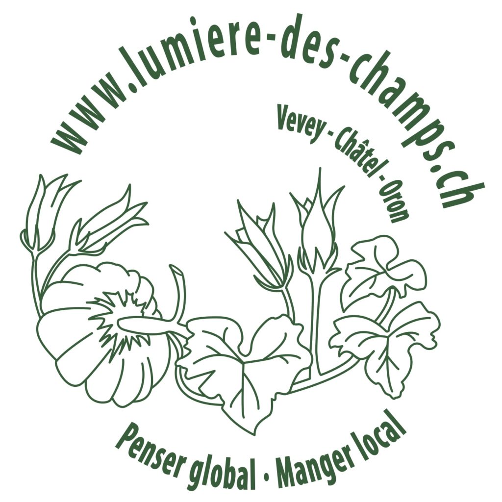 Lumieredeschamps La Fourmilière