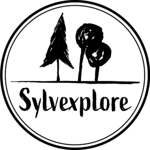 Sylvexplore La Fourmilière