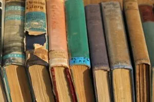 Collection-of-old-books-3187655_640_(1) La Fourmilière