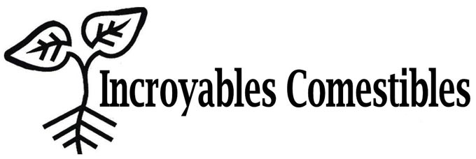 Les-incroyables-comestibles-61667 La Fourmilière