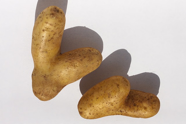 Potato-3559492_640 La Fourmilière