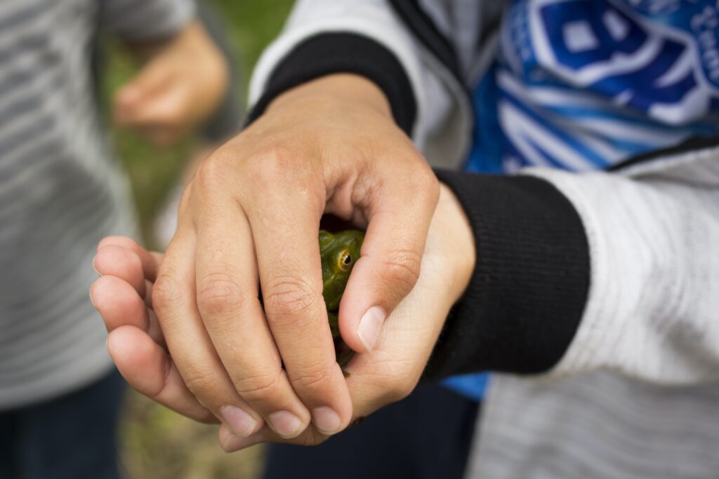 Fête De La Nature 2018 La Fourmilière