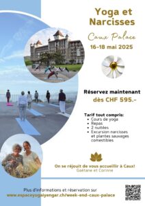 Flyer-yoga-weekend_fr_web_1.jpg La Fourmilière