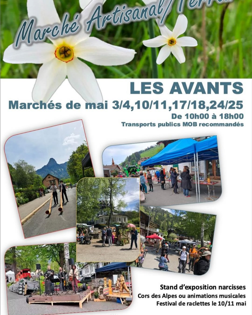 Marcheavants_narcissesriviera La Fourmilière