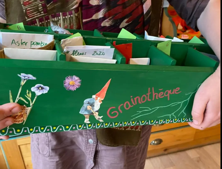Graines La Fourmilière