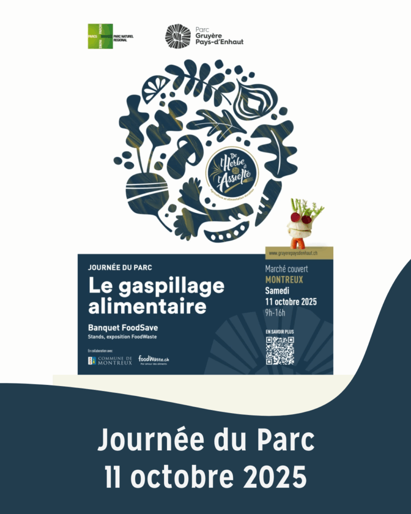 Fourmiliere_journeeduparc La Fourmilière