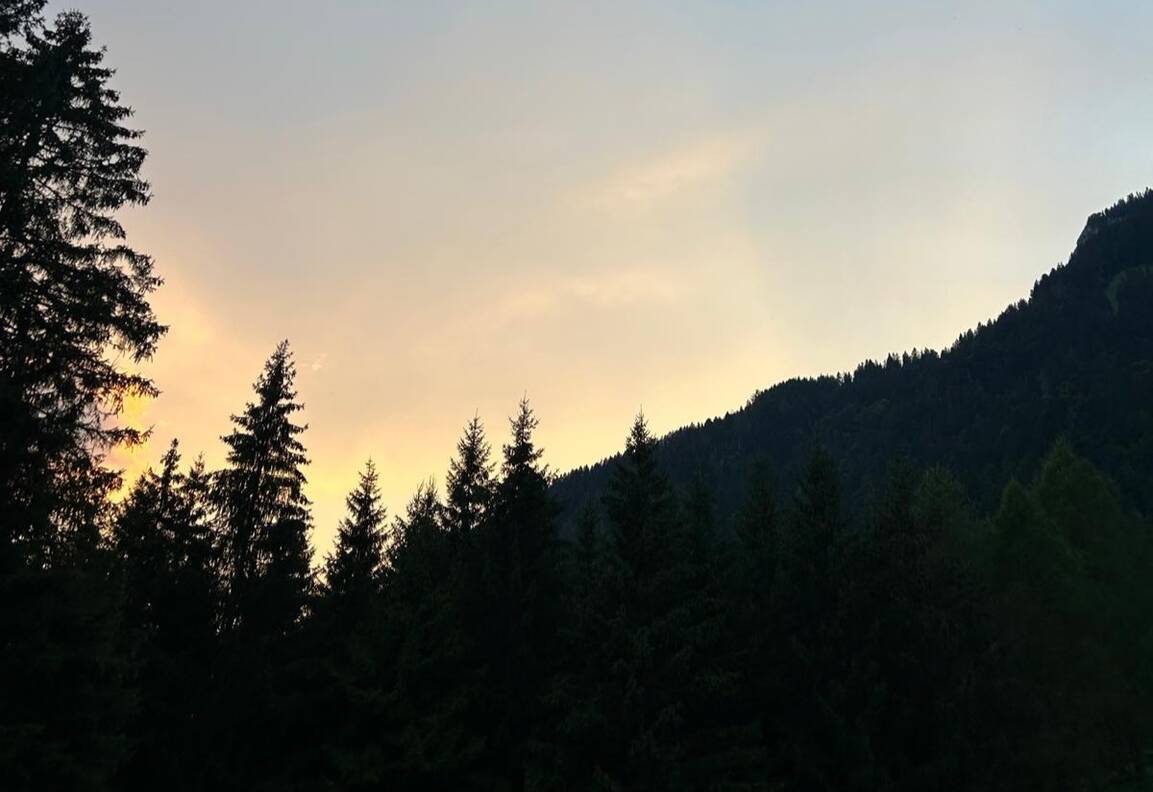 Prog Ee_13_nuit La Fourmilière