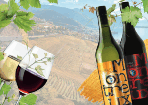 Csm_news_vin_commune_9467ede999 La Fourmilière