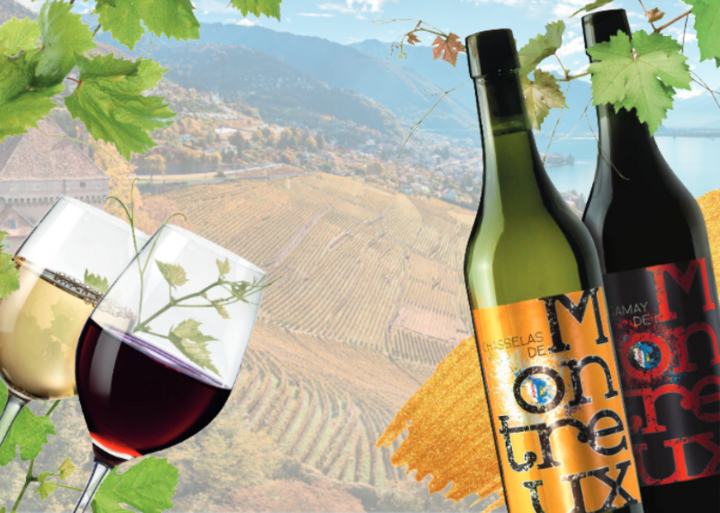 Csm_news_vin_commune_9467ede999 La Fourmilière