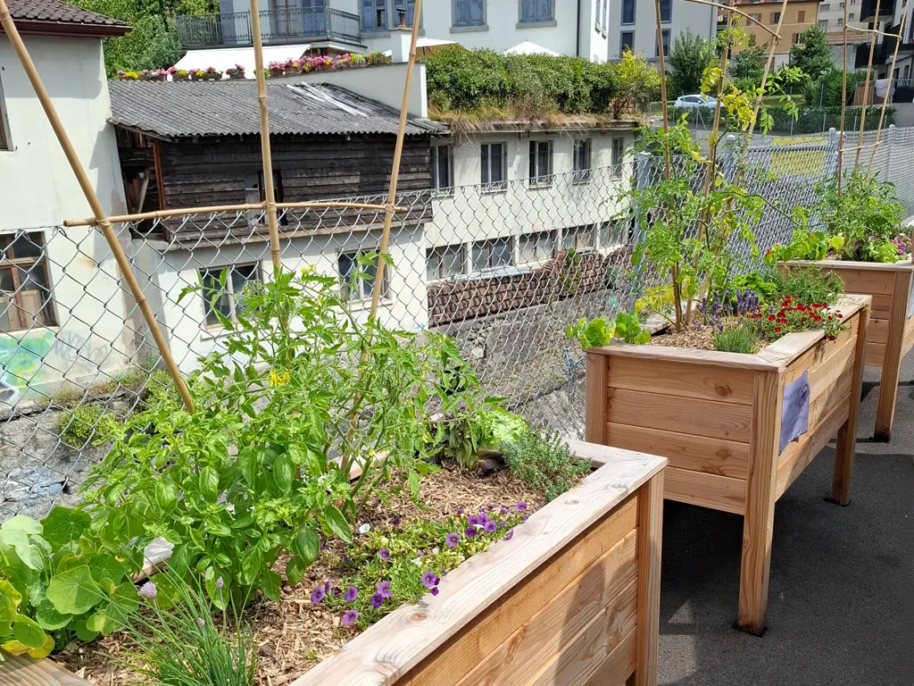 Projet-durable-montreux-jardins-la-corsaz La Fourmilière