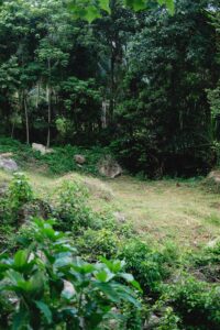 Pexels-alexeydemidov-12525314 La Fourmilière