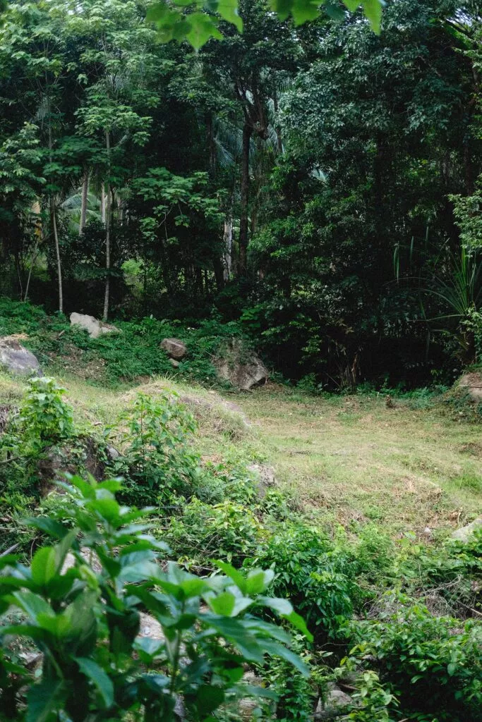 Écolucidité : s’inspirer du vivant pour agir