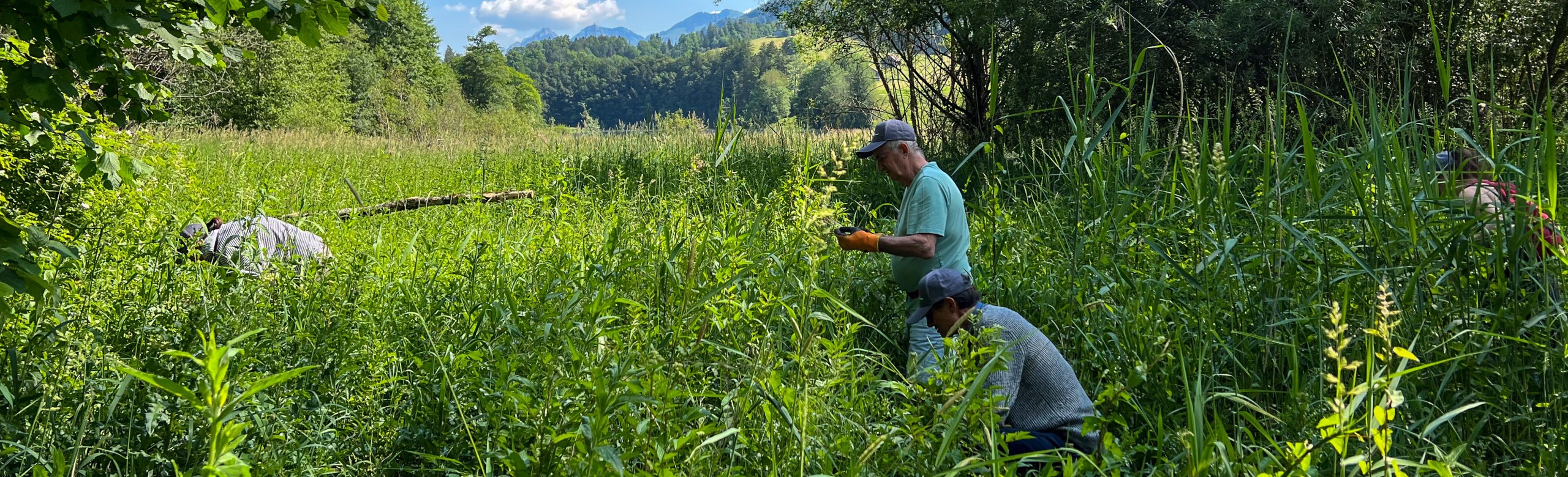 Action-citoyenne-4026x1226-2560x780-1.jpg La Fourmilière