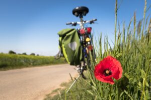 Didgeman-to-go-biking-5178398 La Fourmilière