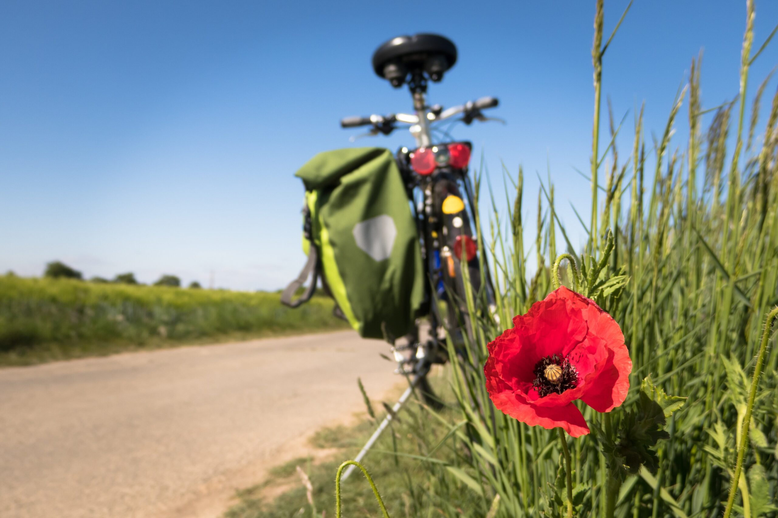 Didgeman-to-go-biking-5178398 La Fourmilière