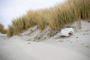 Onzecreativitijd-dunes-8474758 La Fourmilière