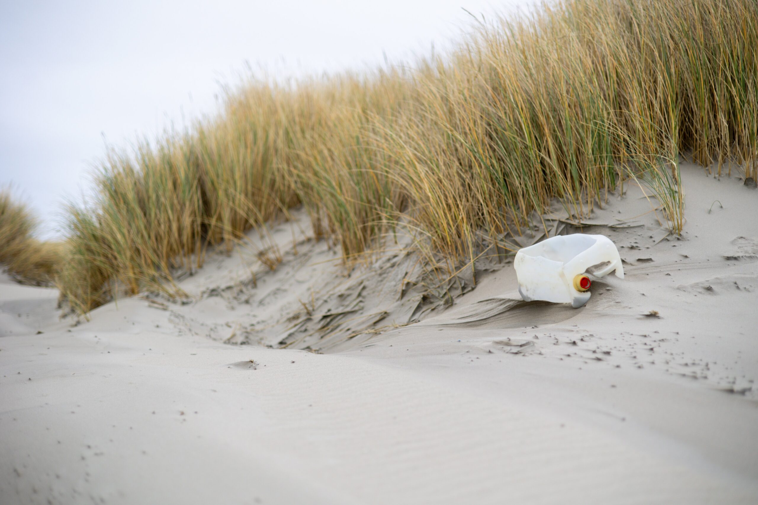Onzecreativitijd-dunes-8474758 La Fourmilière