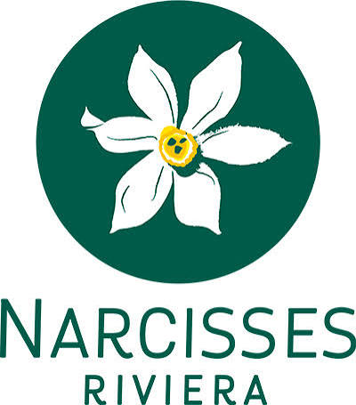 Foin Narcisse La Fourmilière