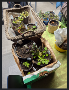 Repair Café 14 Mars 2026 2 La Fourmilière